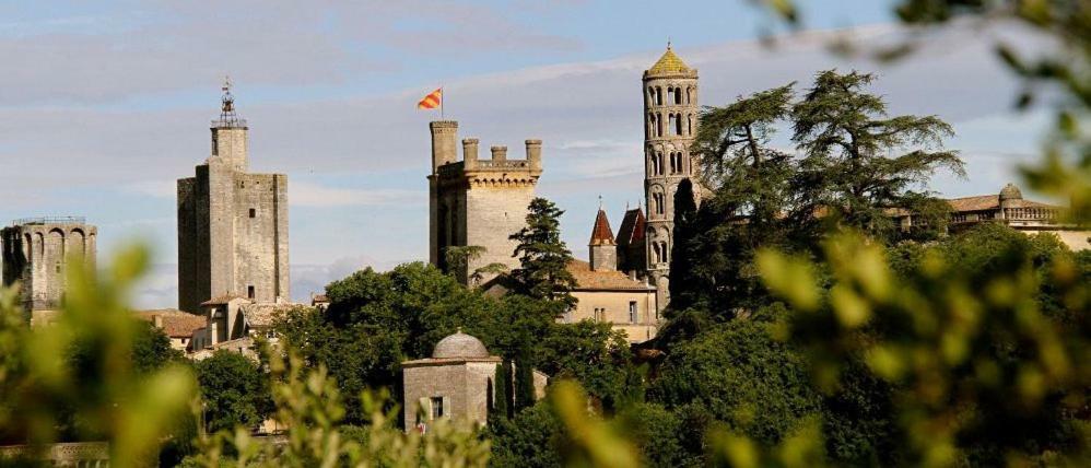Maison Chemin D'Uzes Blauzac  ภายนอก รูปภาพ